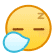 表情[shui]-孔雀海|珍藏合集